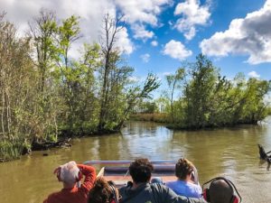 bayou-swamp-tours-4-min