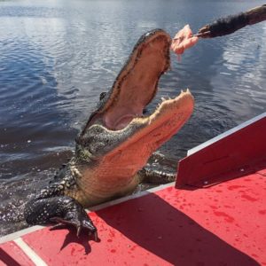 bayou-swamp-tours-8-min
